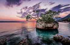 Hilton Head Island: 
